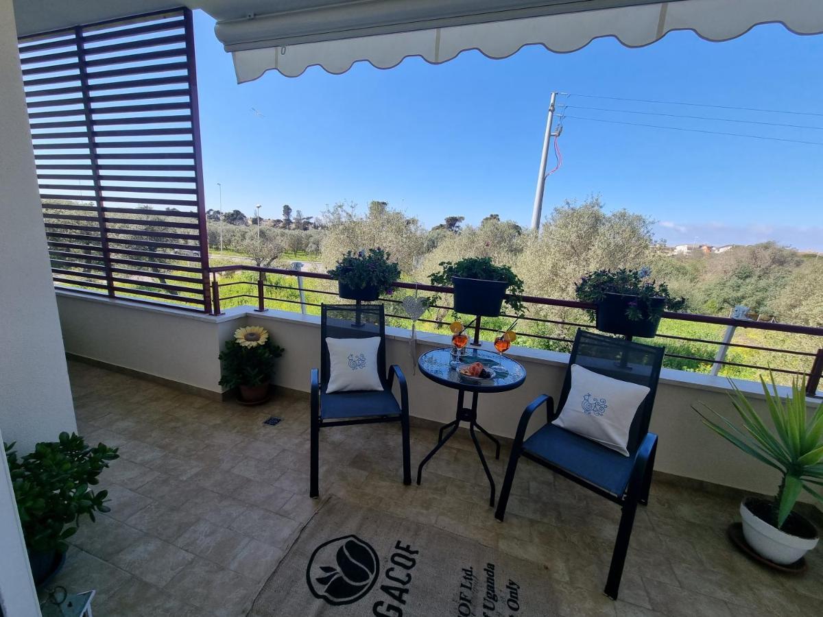 Ric'S House Daire Alghero Dış mekan fotoğraf